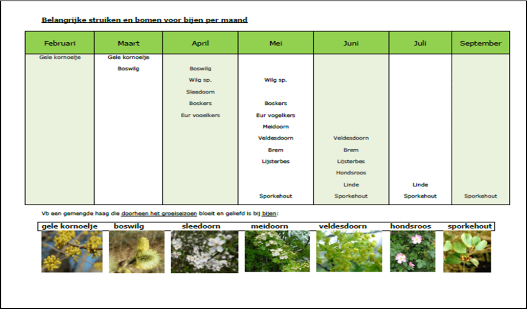 thumbnail - Aanplantbijenkalender voor inwoners en gemeenten