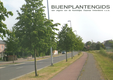 thumbnail - Bijenplantengids